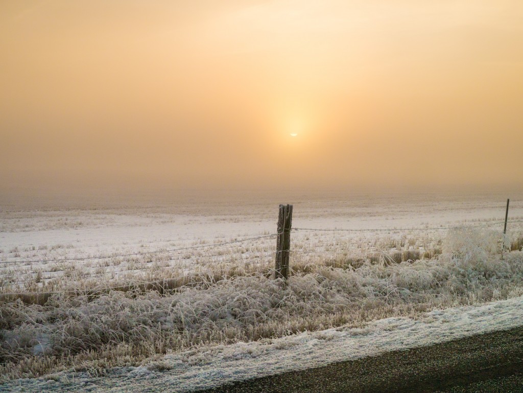 The sun peeks through a thick morning mist on a cold winter morning. In the foreground, a fence cuts through a frost-covered field.